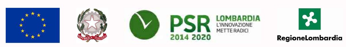 Loghi regione lombarida