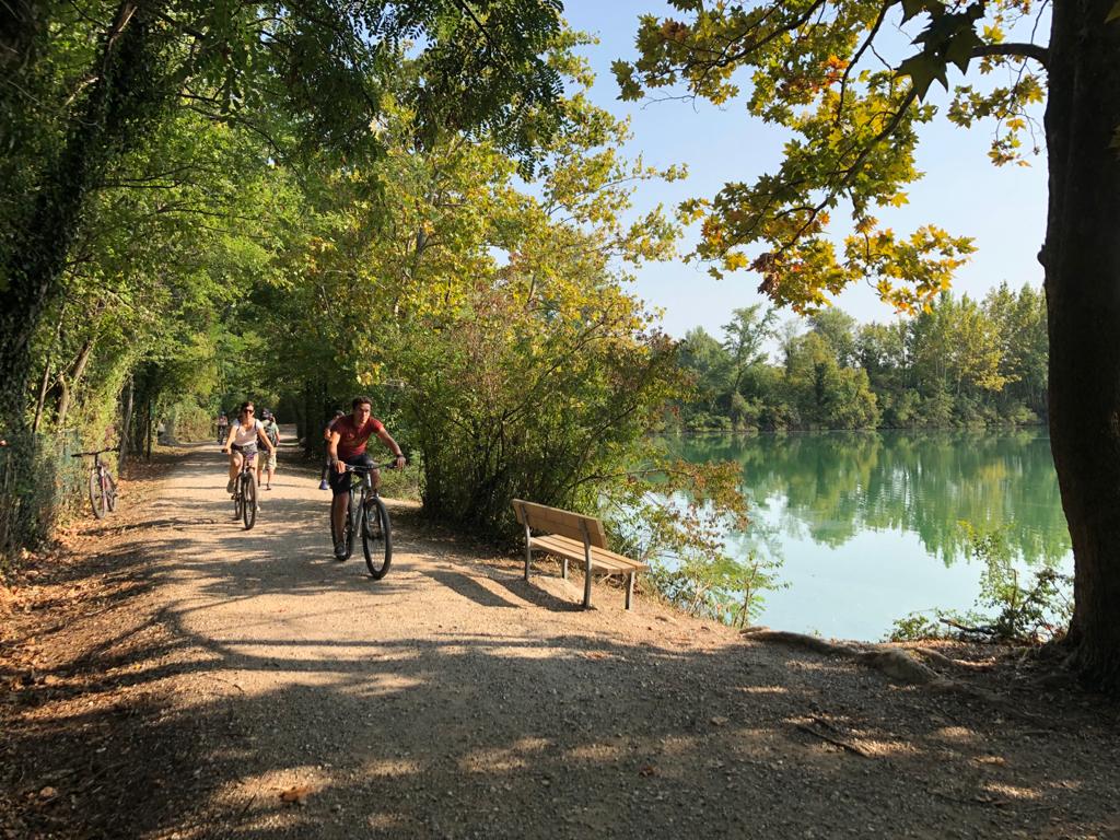 Costeggiando la Riserva Naturale Torbiere del Sebino - Visit Lake Iseo  Portale Ufficiale turismo Lago d'Iseo