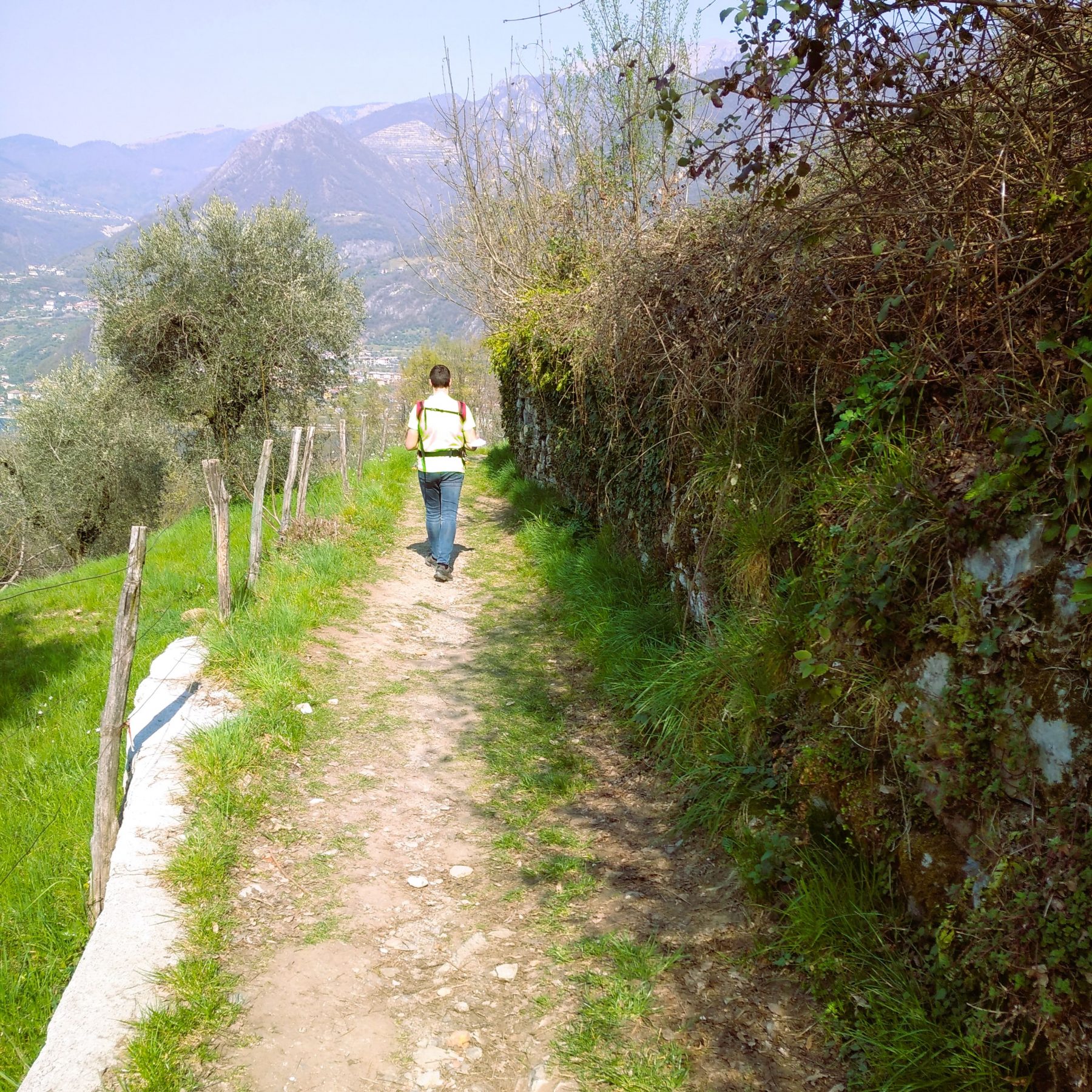 Una Barca nel Bosco - Trekking Experiences